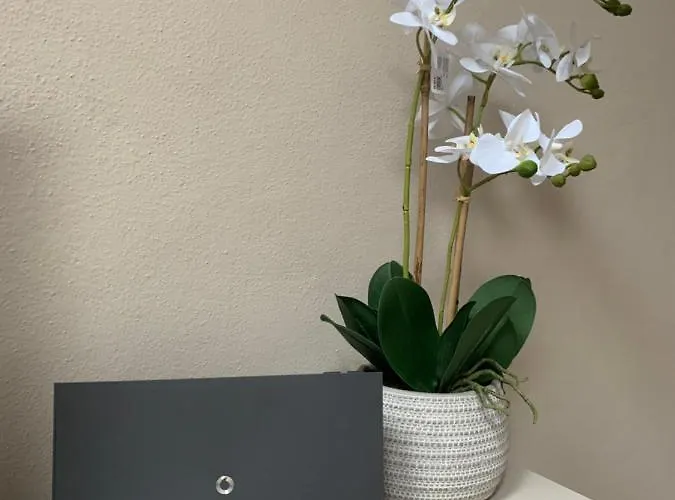 House Cavour 24 In The Heart Of Downtown * Parma